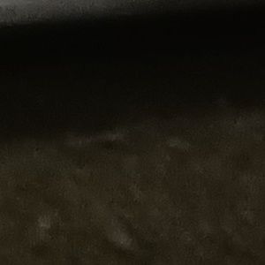 Meet your Posher, Rolly